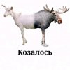 Иконка канала MrHainZ