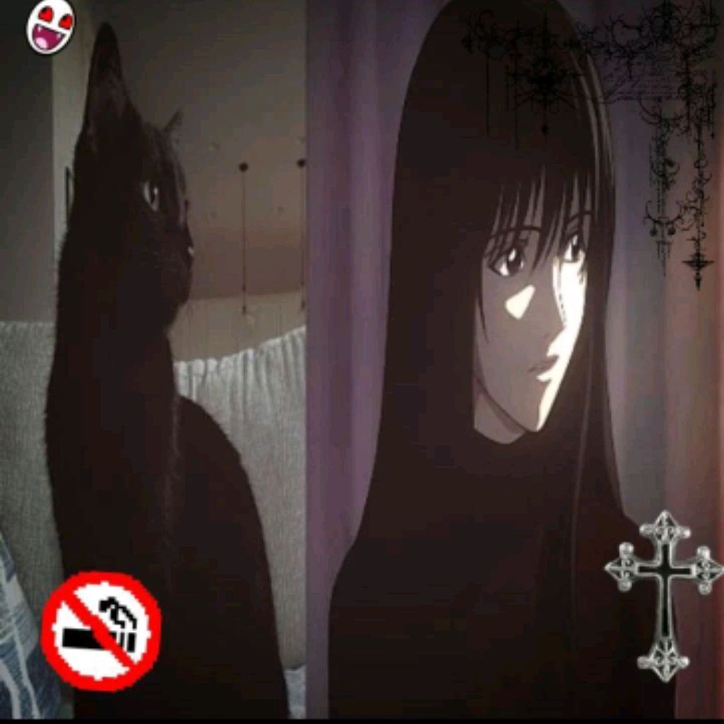 Иконка канала KOT 🎧