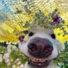 Иконка канала ♪♫*•♪💜Mashka💜♪♫*•♪