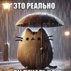 Иконка канала Котозонтик
