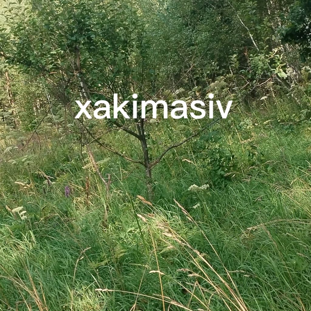 Иконка канала xakimasiv