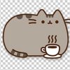 Иконка канала Котики 🐈