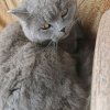 Иконка канала Гансор