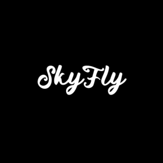 Иконка канала SkyFly music