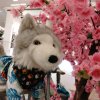 Иконка канала 🐺ᴅᴏᴜɢʟᴀs•ʀᴀᴠᴇɴ🍂