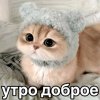 Иконка канала DRAGONYCAT
