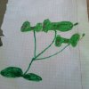 Иконка канала Богдан