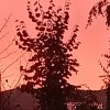 Иконка канала Аля !!!🖤🩶🤍🍄🥀🌺🌹