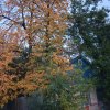 Иконка канала ДомбезИнструкций