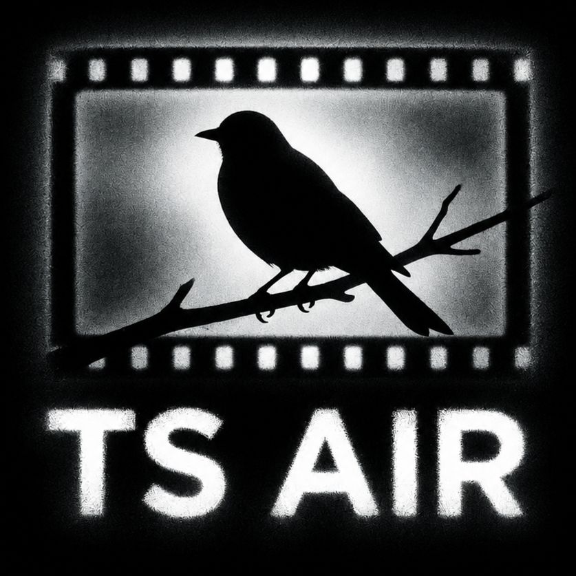 Иконка канала TS Air