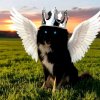 Иконка канала Великая Юкиша первая из Супер Стаи👑🐺🔥