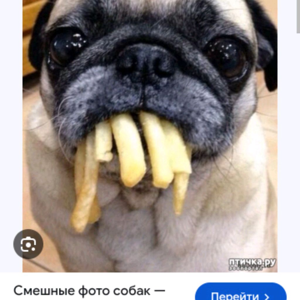 Иконка канала Супер ультра-мега-ниндзя.