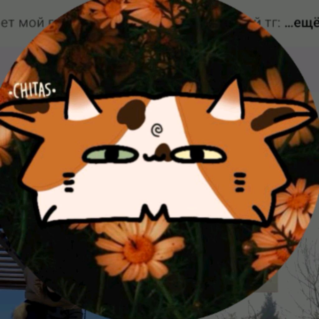 Иконка канала Hasiko_ paw🌻
