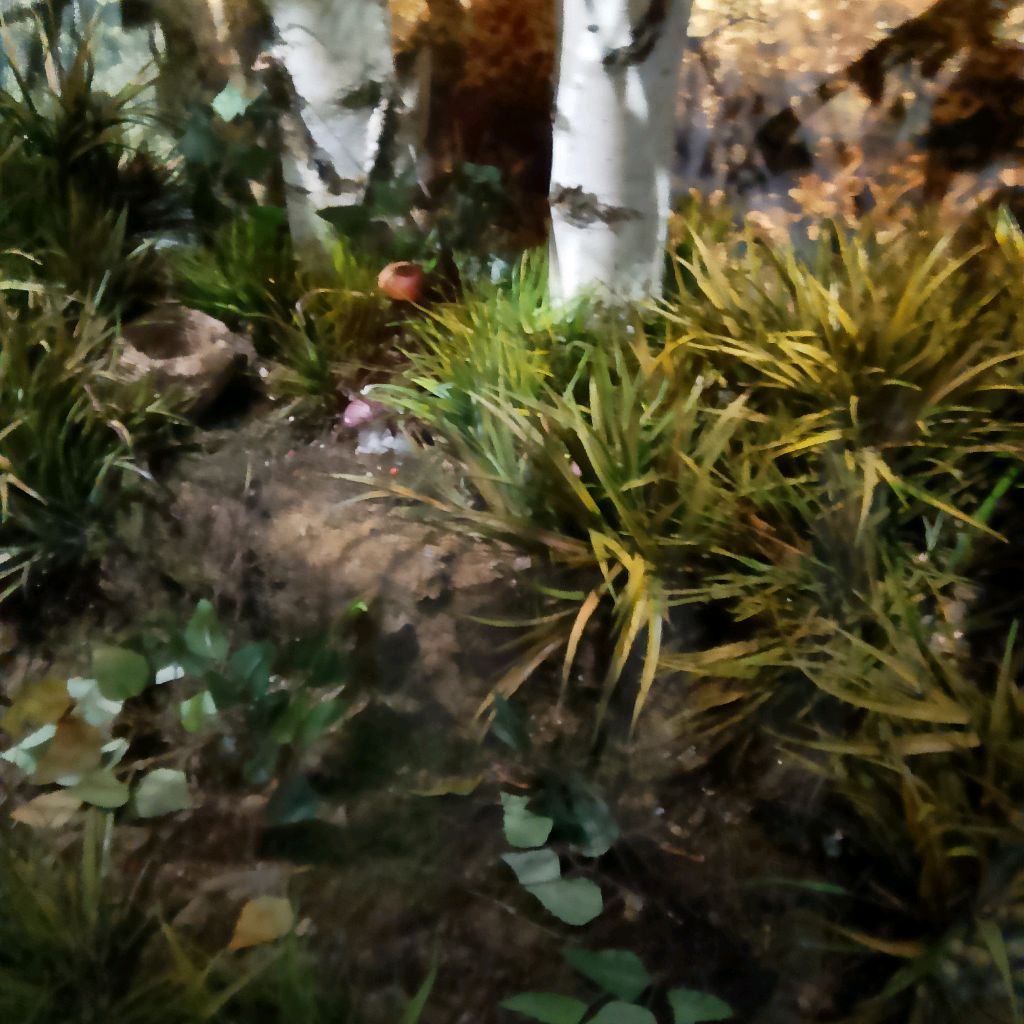 Иконка канала Wild Iand ,Dinosaur,animal,fish.