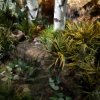 Иконка канала Wild Iand ,Dinosaur,animal,fish.