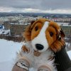 Иконка канала ✴᧐ᥴᥱнняя дʙ᧐ᥙцᥲ🥐