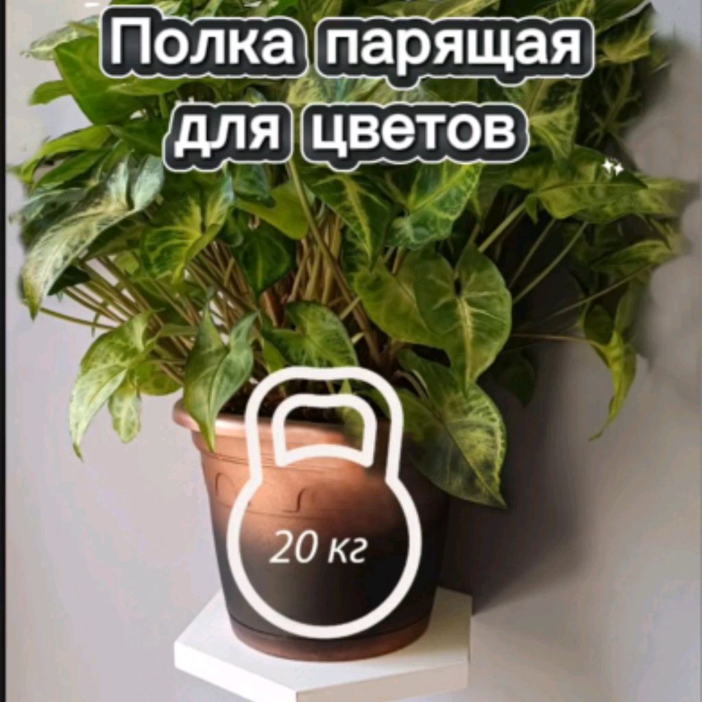 Иконка канала Derevi