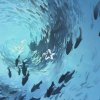 Иконка канала 🪼❕🌊°Мэрия°🌊❕🪼[вернулась]