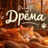Иконка канала Дрёма