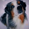 Иконка канала 🐾🌕ГРАМОТЕНЬ🌕🐾