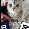 Иконка канала ♡𝑵𝑺| VID | BB | 9𝑹 | 𝑫𝑱 𝑽𝑰𝑫𝑶𝑺♡