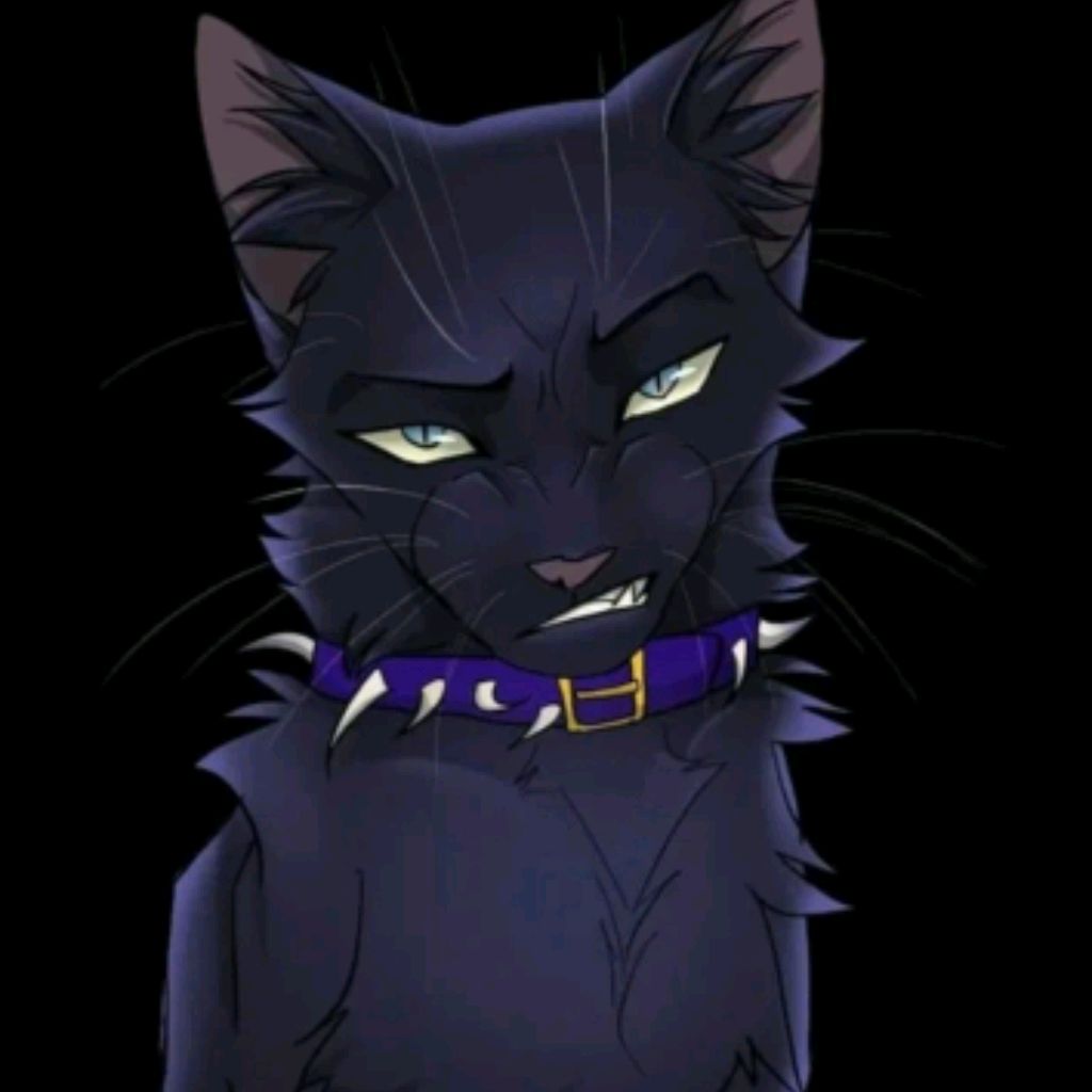 Иконка канала (бич💯) Warriors Cats❤