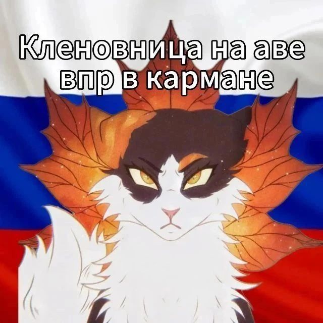 Иконка канала *+:｡.｡Kerria｡.｡:+*
