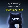 Иконка канала channel36006603