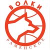 Иконка канала Волки Раменское Баскет🏀🐺