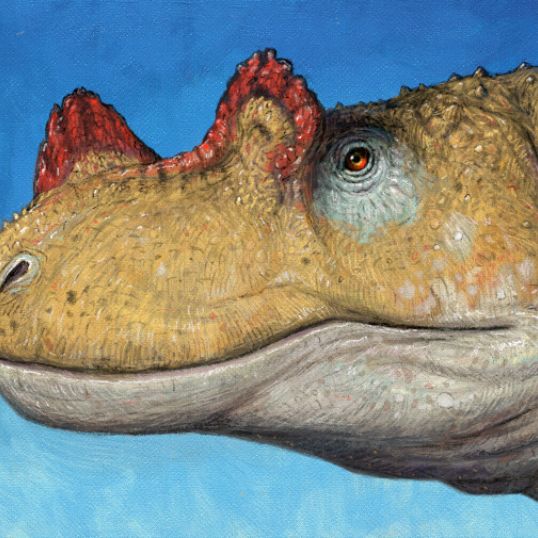 Иконка канала Mr.Ceratosaurus Stop Motion