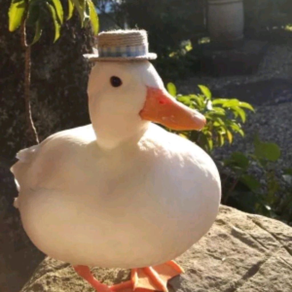 Иконка канала ☆DUCK☆