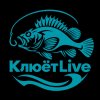 Иконка канала КлюётLive