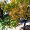 Иконка канала Обычная Жизнь