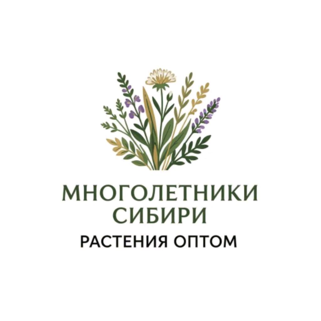 Иконка канала Многолетники Сибири