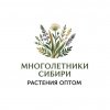 Иконка канала Многолетники Сибири