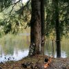 Иконка канала РЫБАЛКА НА ПАЛКУ