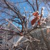 Иконка канала 🎃❄️Катюша🎃❄️{(лега)}❤️ ☑️