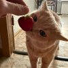 Иконка канала ⋆. ୨୧˚⋆ 𝑚𝑎𝑔𝑖𝑐 𝑣𝑖𝑑𝑒𝑜⋆. ୨୧˚⋆