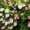 Иконка канала Zo_ya26