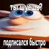 Иконка канала SonicGlitchCrashZone #ЗАГАДКАКРУТОЙ