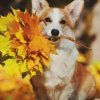 Иконка канала CORGI TV🎃