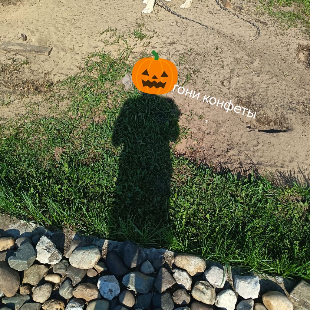 Иконка канала Играю В игру Малыш В Желтом🎃🎃🎃