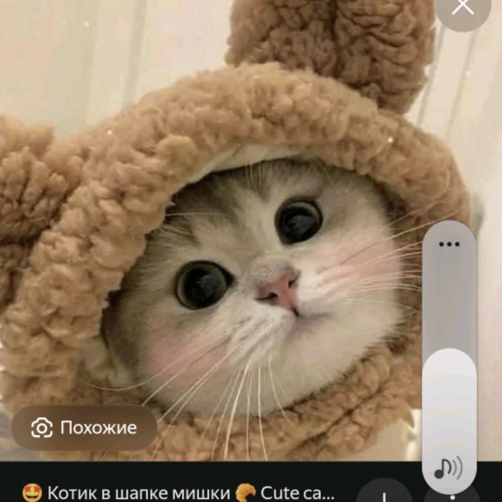 Иконка канала Ева  Василькова💗