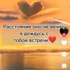 Иконка канала Милые собачки