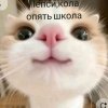 Иконка канала Лучики Собаки