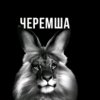 Иконка канала 🎃🎃ФИГНЯ_И_ХРЕНЬ🎃🎃
