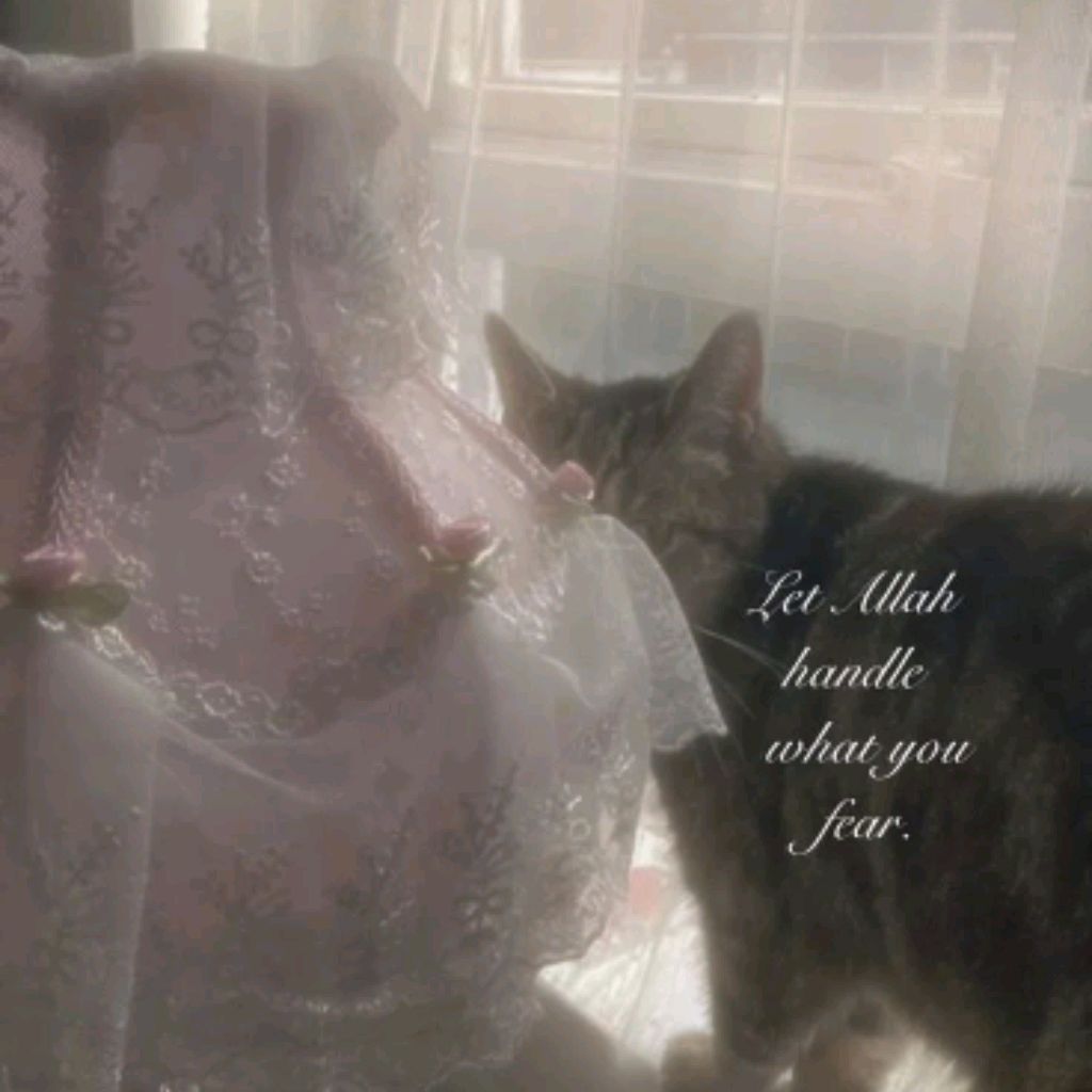 Иконка канала 🍥Meow 🐾🩰