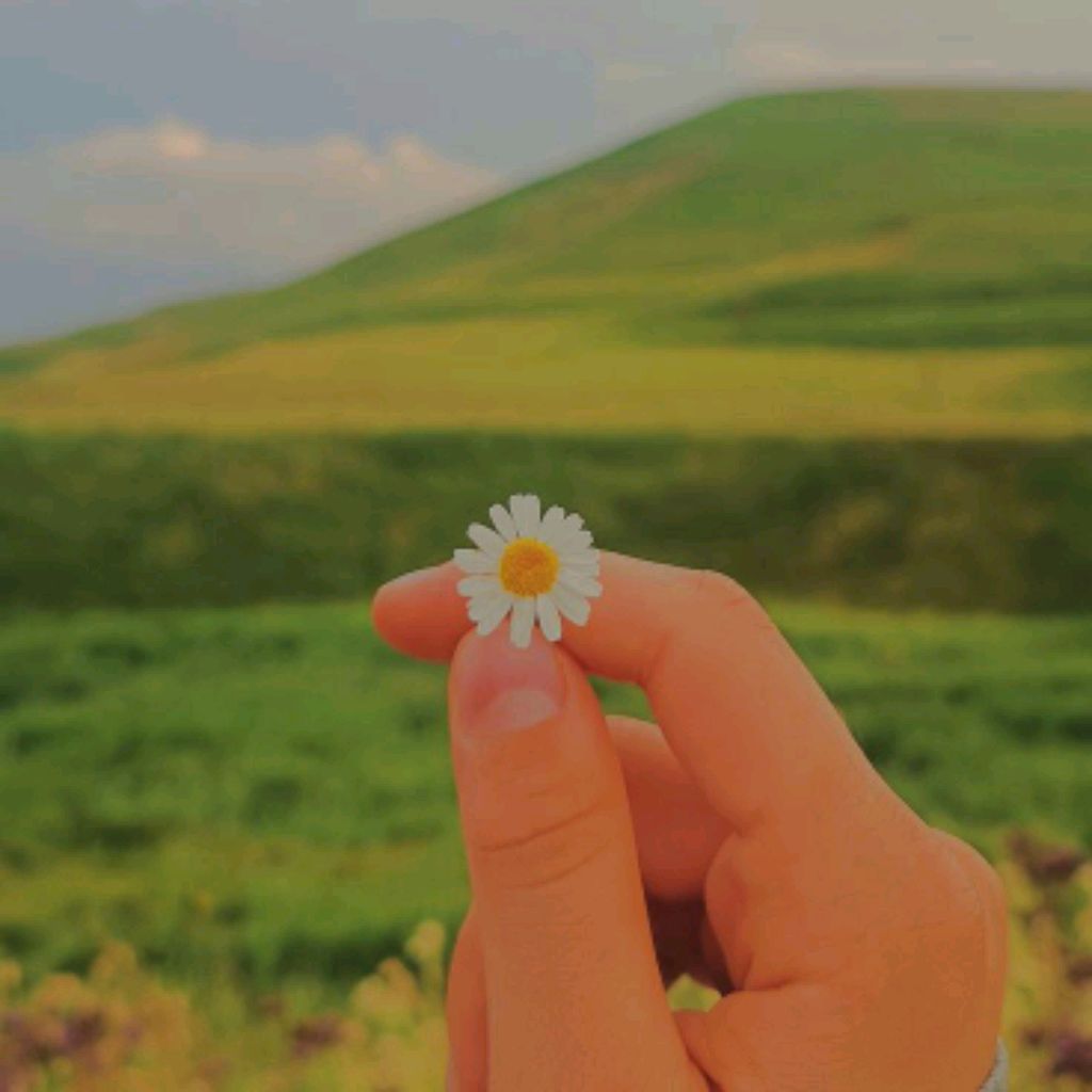 Иконка канала 🌸🌺цветочик🌺🌸