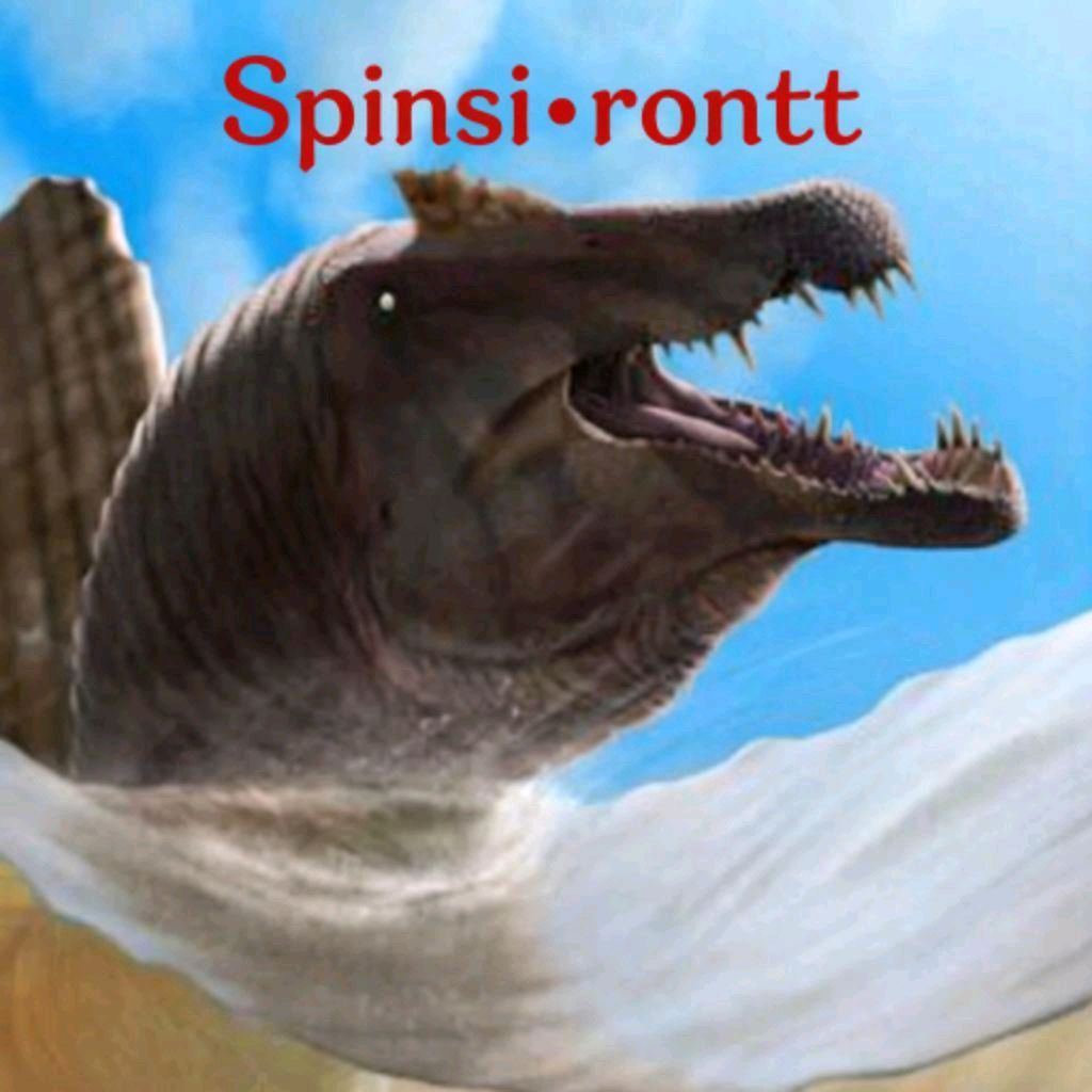 Иконка канала Spinsi•rontt