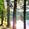 Иконка канала ARTfull